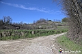 VBS_8796- Risvegli